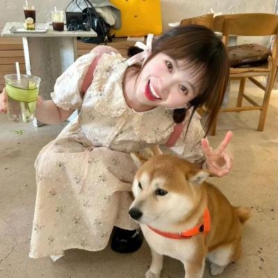 罗马的房子